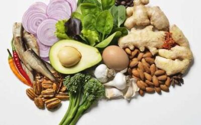 Alimentando nuestro cerebro.